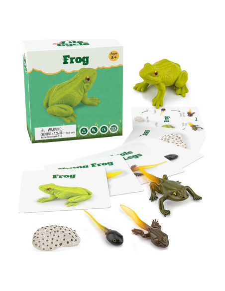 Kit Ciclo de Vida Montessori GLINGLONG - Animales 3D Educativos Kit Ciclo de Vida Montessori GLINGLONG - Animales 3D Educativos