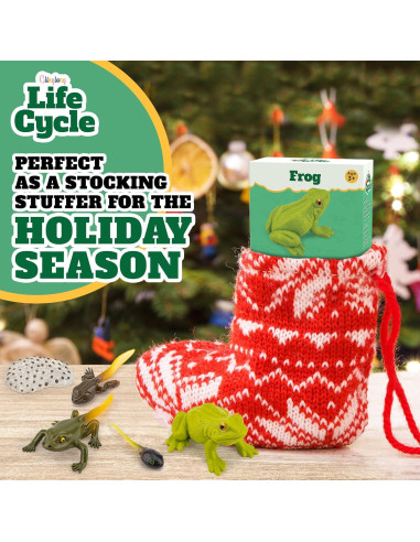 Kit Ciclo de Vida Montessori GLINGLONG - Animales 3D Educativos