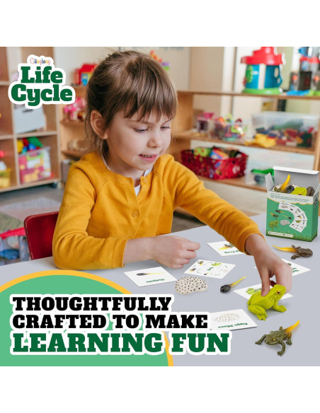 Kit Ciclo de Vida Montessori GLINGLONG - Animales 3D Educativos Kit Ciclo de Vida Montessori GLINGLONG - Animales 3D Educativos
