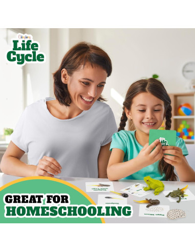 Kit Ciclo de Vida Montessori GLINGLONG - Animales 3D Educativos