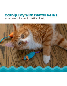 Juguete Dental para Gatos PetStages - 2 Ratones con Hierba 2