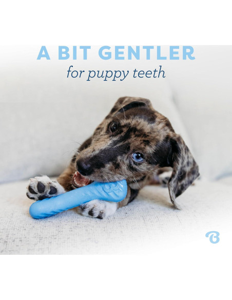 Benebone Cachorro 2-Pack Hueso de Goma Sabor Bacon