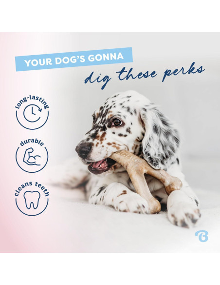 Benebone Cachorro 2-Pack Hueso de Goma Sabor Bacon