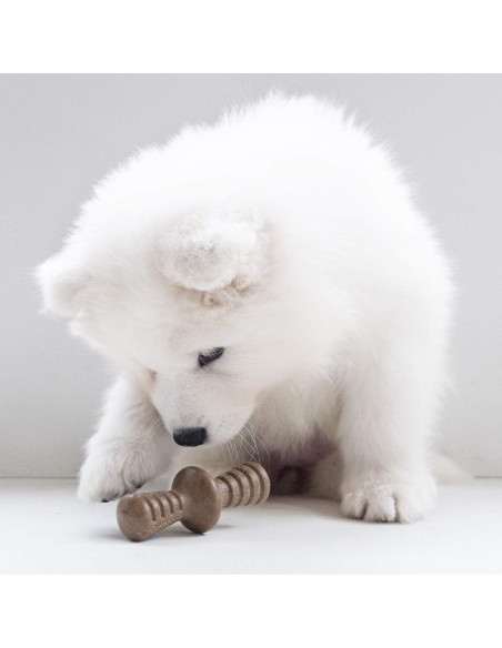 Benebone Cachorro 2-Pack Maplestick/Zaggler Juguetes Masticables