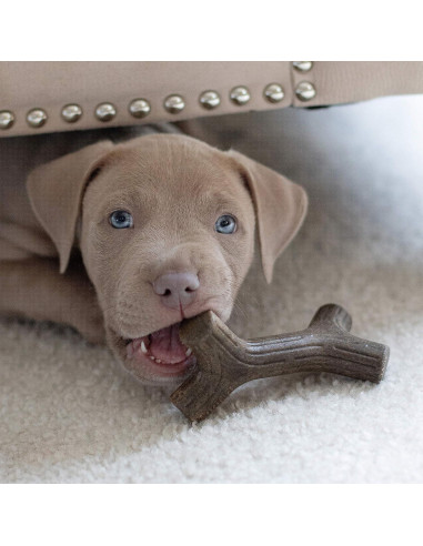 Benebone Cachorro 2-Pack Maplestick/Zaggler Juguetes Masticables