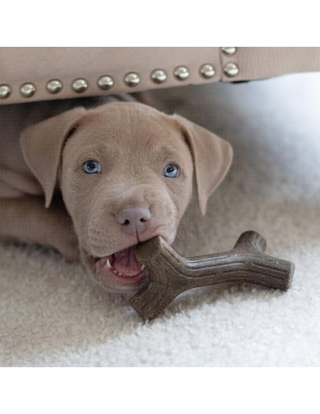 Benebone Cachorro 2-Pack Maplestick/Zaggler Juguetes Masticables