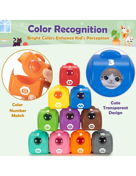 Juguetes de Aprendizaje Aigybobo Gato 20 Piezas Educativos