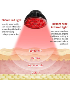 Bombilla Terapia Luz Roja Aumtrly 18 LEDs 660nm E26 2