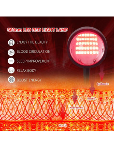 Terapia de Luz Roja WTINTELL 40 LEDs 660nm para Cuidado Facial 2