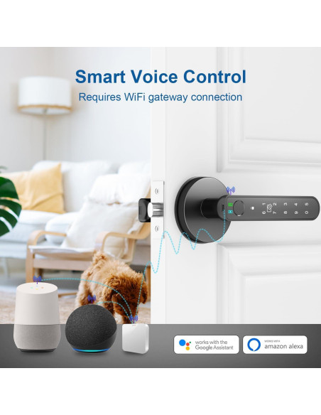 Cerradura Biométrica BAFUWEIY CA02 con Huella Dactilar y APP