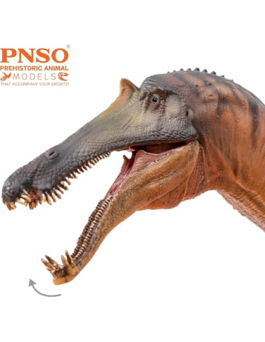 Modelo Dinosaurio PNSO 66 Chongzuo El Sinopliosaurus 24.99cm