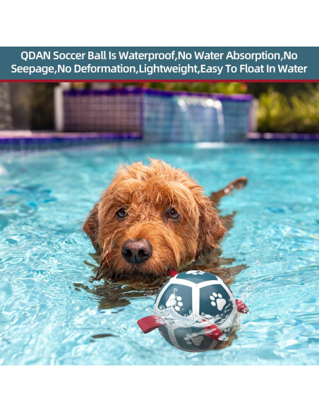 QDAN Balón de Fútbol para Perros Pequeños - Azul Rojo 12,7 cm