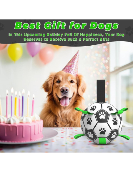 Balón de Fútbol QDAN para Perros Mediano 20 cm Interactivo