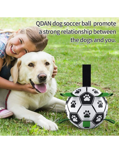 Balón de Fútbol QDAN para Perros Mediano 20 cm Interactivo