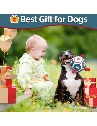 QDAN Balón de Fútbol para Perros Pequeños - Azul Rojo 12,7 cm