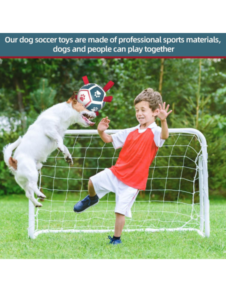 QDAN Balón de Fútbol para Perros Pequeños - Azul Rojo 12,7 cm