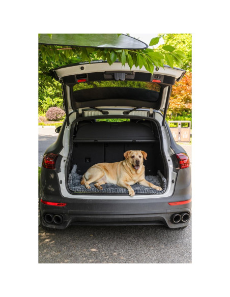 Alfombra Antideslizante para Perros TGODGPY 63x137 cm Gris