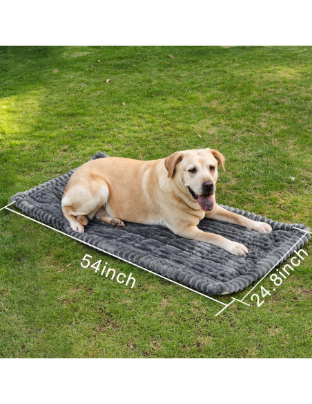 Alfombra Antideslizante para Perros TGODGPY 63x137 cm Gris