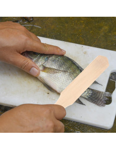 Cepillo de limpieza de pescado Alipis de acero inoxidable 2