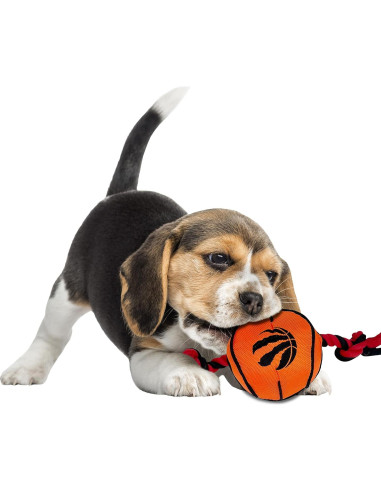 Juguete para perros NBA Toronto Raptors - Nylon Resistente