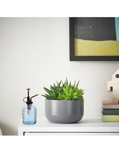 Botella de Spray para Plantas SDlumeiy 348.7 ml Vidrio Azul