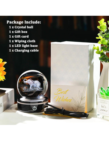 Bola de Cristal 3D Elefante YWHL con Base LED Colorida