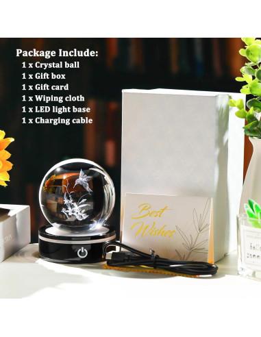 Figurita Colibrí 3D YWHL con Base LED y Regalo Incluido
