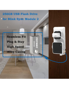 Unidad Flash USB Fieybirt 256GB para Módulo Blink 2 2