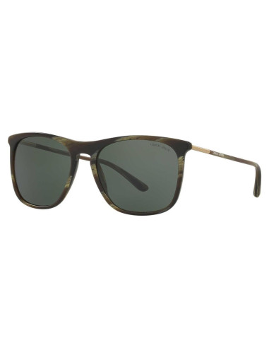 Gafas de Sol Giorgio Armani AR8076 Verde Rayado 55mm