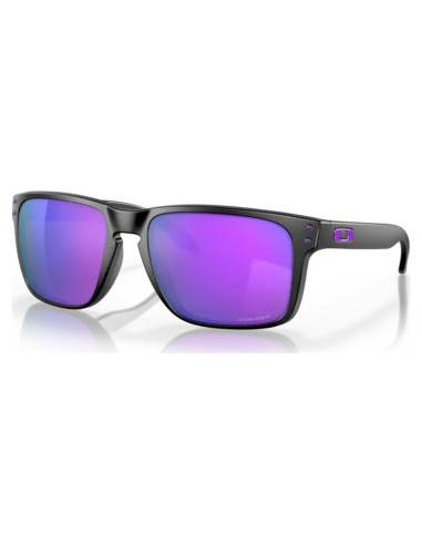 Gafas de sol Oakley Holbrook XL para hombres + Kit de cuidado