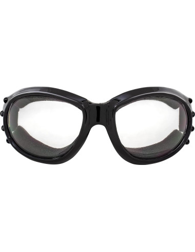 Gafas Birdz Eagle con Lentes Claros y Oscuros para Motocicleta