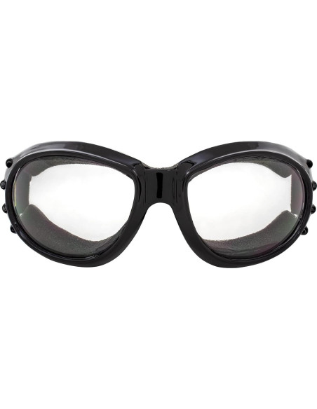 Gafas Birdz Eagle con Lentes Claros y Oscuros para Motocicleta