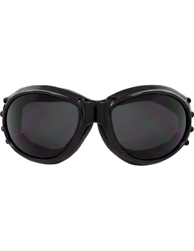 Gafas Birdz Eagle con Lentes Claros y Oscuros para Motocicleta