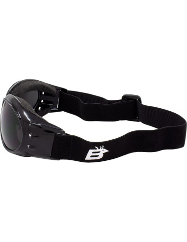 Gafas Birdz Eagle con Lentes Claros y Oscuros para Motocicleta