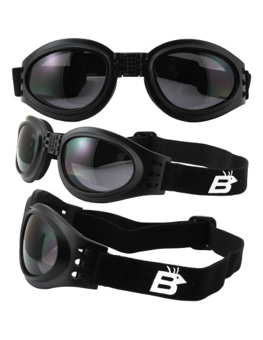 Gafas de Moto Birdz Eyewear Parrot 2 Pares Negras