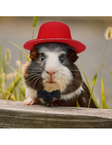 4 Conjuntos de Sombreros y Corbatas para Mascotas Xuniea