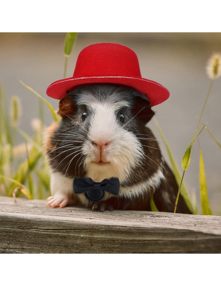 4 Conjuntos de Sombreros y Corbatas para Mascotas Xuniea