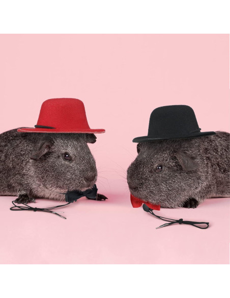4 Conjuntos de Sombreros y Corbatas para Mascotas Xuniea