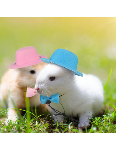 4 Conjuntos de Sombreros y Corbatas para Mascotas Xuniea
