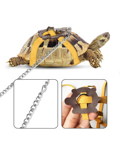 Arnés y Correa de Cuero HOKABLE para Tortugas - Tamaño S Negro 2