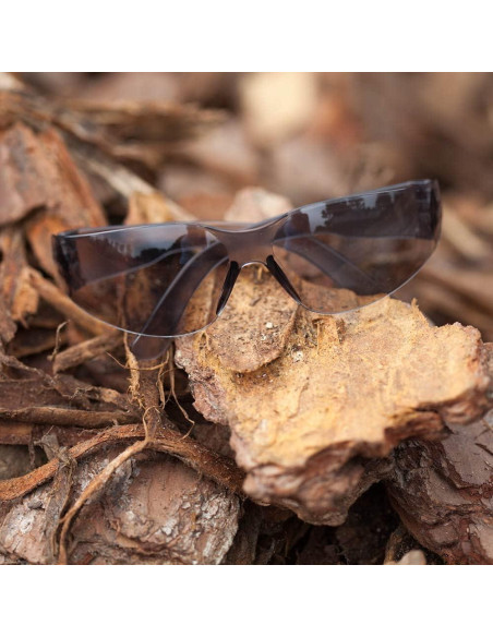 Gafas de Seguridad BISON LIFE - 12 Pares Envolventes Gafas de Seguridad BISON LIFE - 12 Pares Envolventes