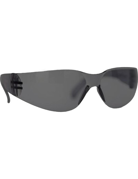 Gafas de Seguridad BISON LIFE - Lentes Envolventes Antirrayas Gafas de Seguridad BISON LIFE - Lentes Envolventes Antirrayas