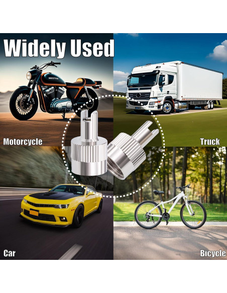 10 Tapones de Válvula de Neumático MEAJOO Plateados Universales