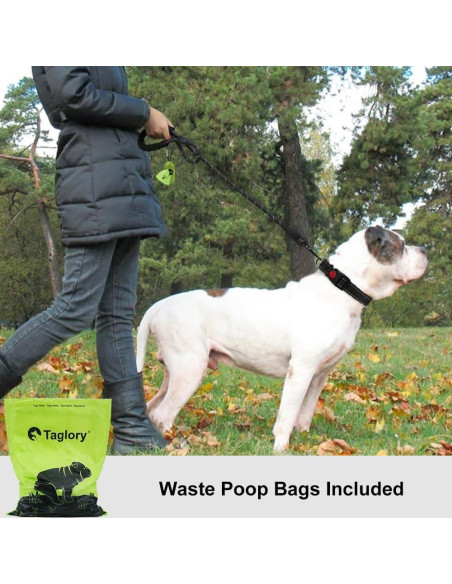 Correa para Perros Taglory 1.5m Reflectante con Mango Acolchado Correa para Perros Taglory 1.5m Reflectante con Mango Acolchado