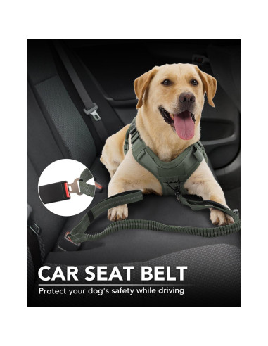 Correa Táctica para Perros Joytale 1.22-1.83m Bungee Verde Militar