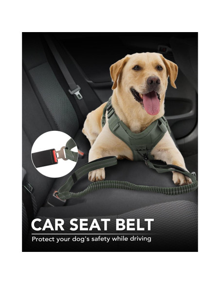 Correa Táctica para Perros Joytale 1.22-1.83m Bungee Verde Militar