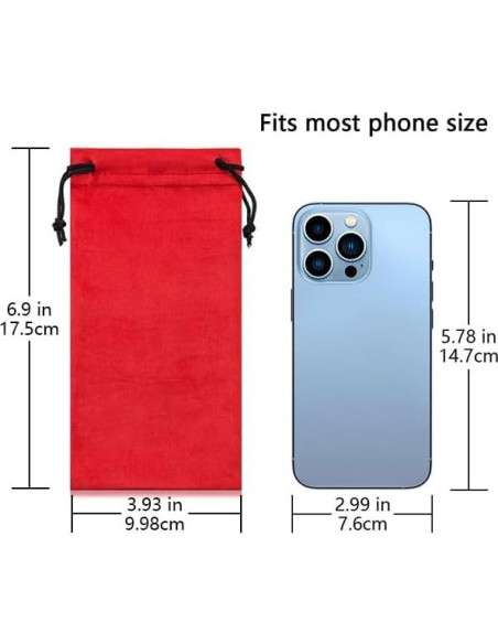 Bolsa de Gafas Triumph Vision 3 Pack Microfibra