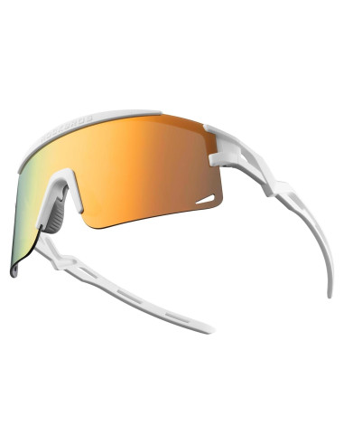 Gafas de Ciclismo ROCKBROS UV Cambiante Color Viento Arena