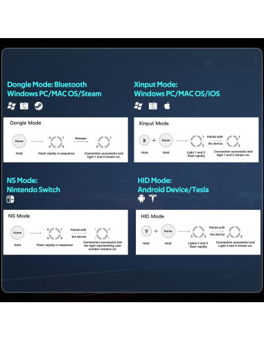 Controlador Inalámbrico C6 abxylute para PC y Switch - 1000Hz