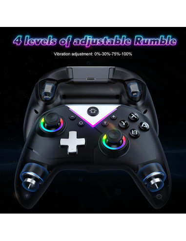 Controlador Inalámbrico Dinosoo RGB para PC y Switch